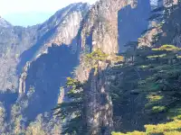 12.7週末黃山人潮擁擠