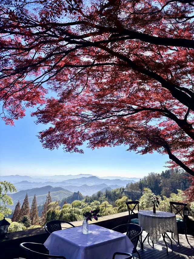 莫干山紅色氛圍已拉滿，趕緊衝！！