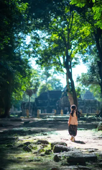 Walking in the jungle of the Angkor Empire