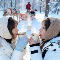 5日呼倫貝爾深度遊攻略全在這了