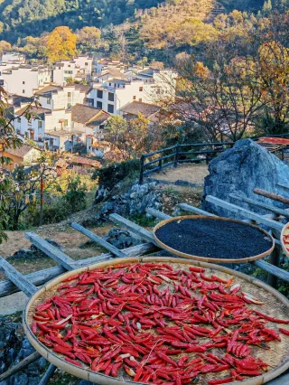 Healing Journey|Every Snap Is Wallpaper-Worthy