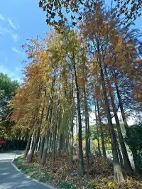 上海植物園一日遊