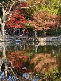 12.3魯迅公園秋日進度100％（附機位）