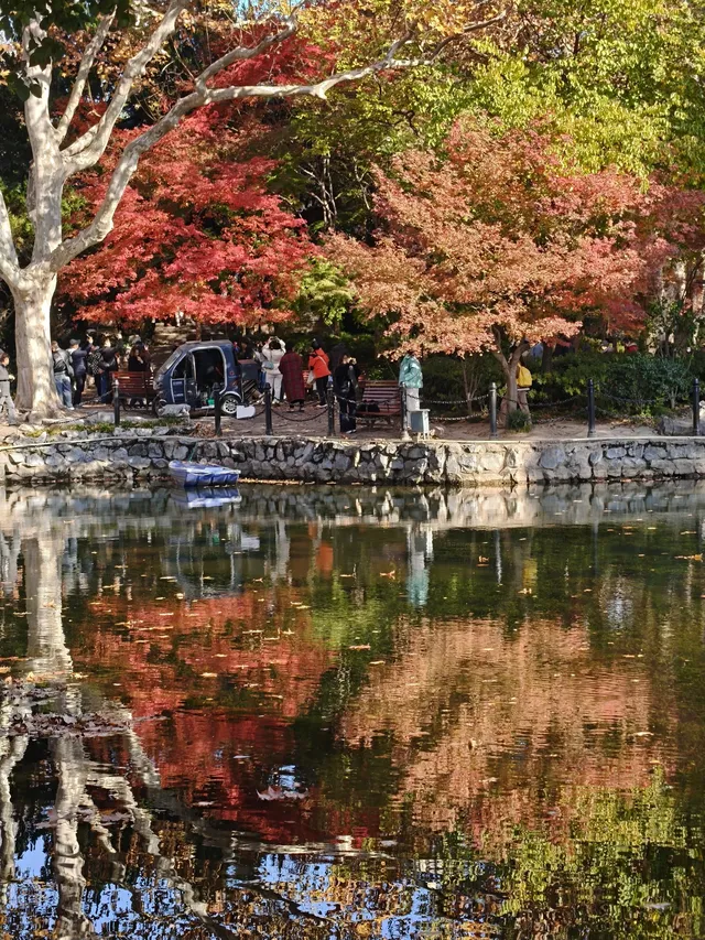 12.3魯迅公園秋日進度100％（附機位）