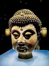 穿越寧夏千年之夢|賀蘭之東,西夏尋跡