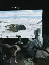 命運的扣環—願我們永遠自由