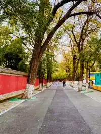 正定一個人逛一下午的冬日治癒路線