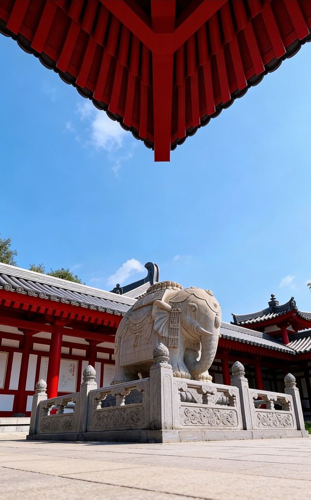 晴天遇見的盛世佛光 晴天遇見的盛世佛光