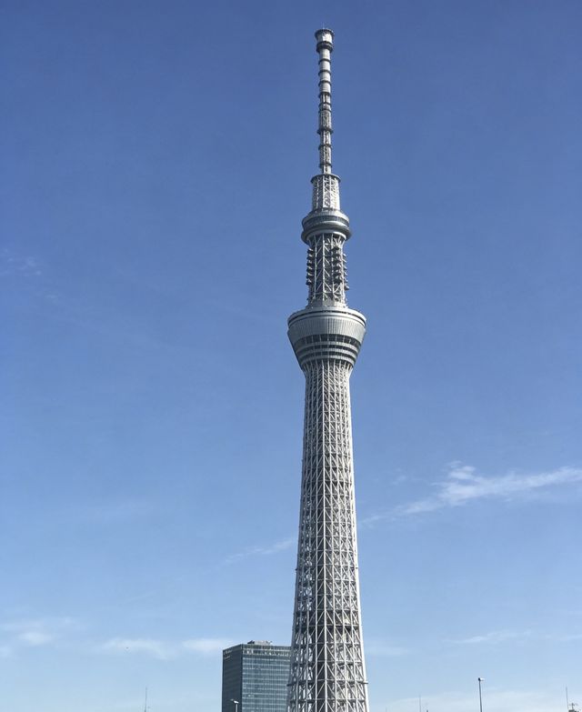 12月14日日本受罪已回,說點難聽的大實話 12月14日日本受罪已回,說點難聽的大實話