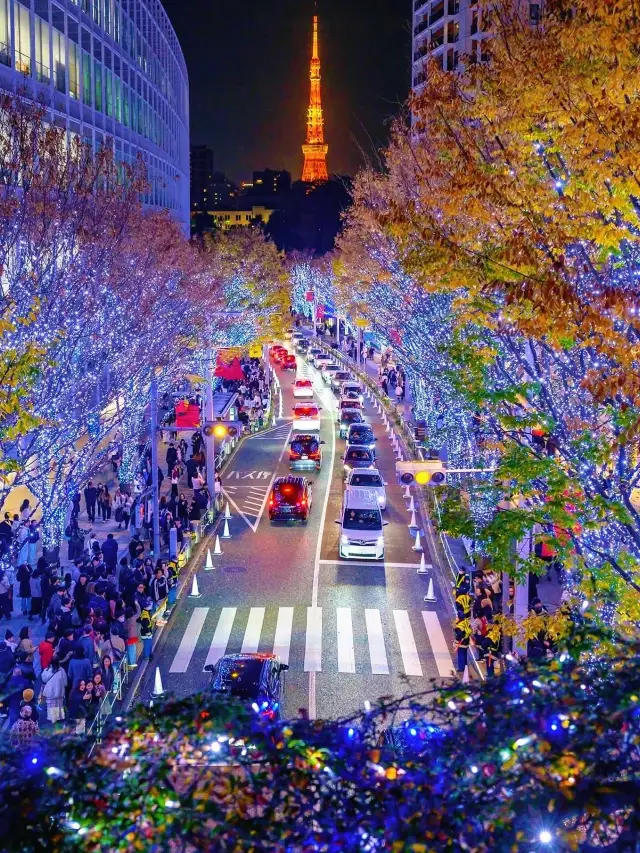 六本木燈光秀東京冬日必看浪漫夜景全攻略