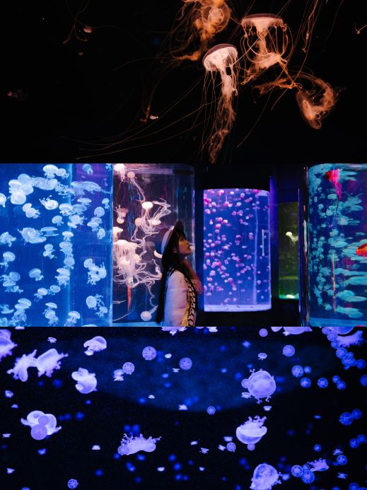 質問が殺到！深圳のこの水族館こそが最高のリゾートスポット | Trip