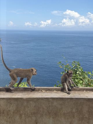 A must-read guide for a day trip to Nusa Penida! Diamond Beach & Fairy Drop