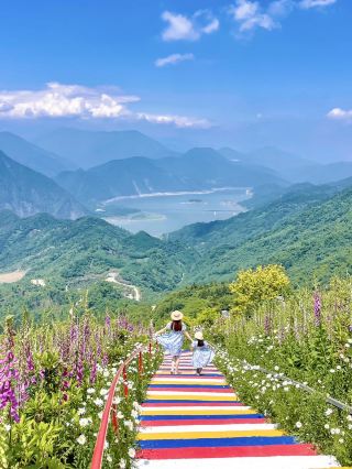 成都の週末お出かけ、子どもとハイキングで雲海と野生のユリを楽しむ