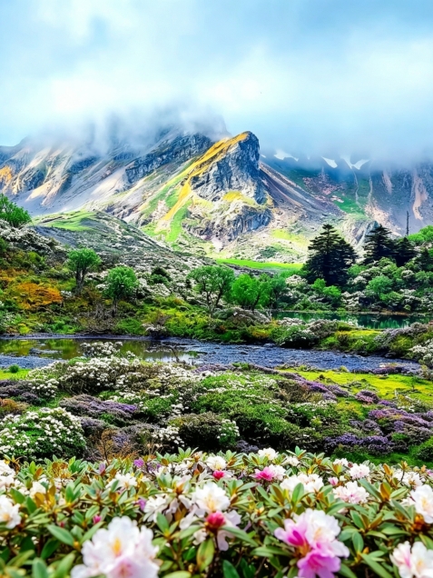 Yunnan Hiking Secret: June at Qianhu Mountain and Jiuzihai, Where