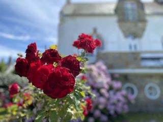 Don’t just visit Paris when traveling in France! A guide to exploring Brittany’s flower-filled islands