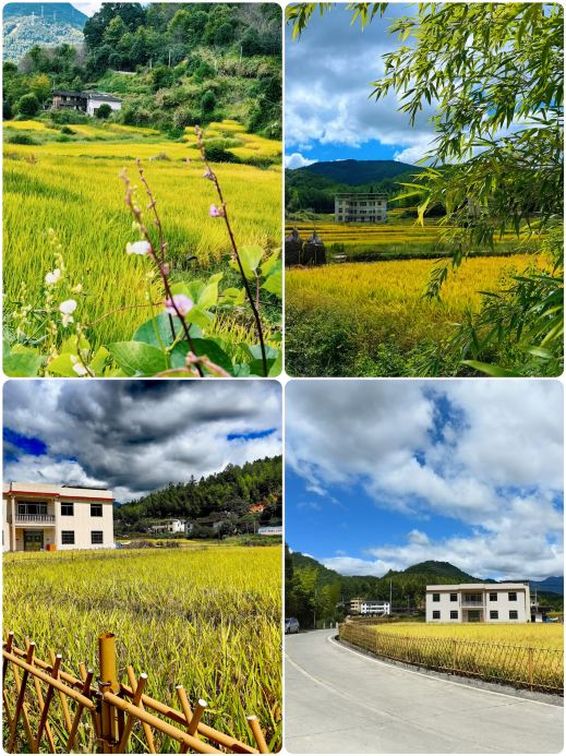 Tour Quanzhou Dehua | 2 ngày 1 đêm, giá trên 600 RMB/người, tham quan 4 danh lam thắng cảnh tuyệt đẹp
