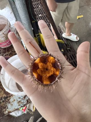Had such a great time eating on Guanglu Island 🥳