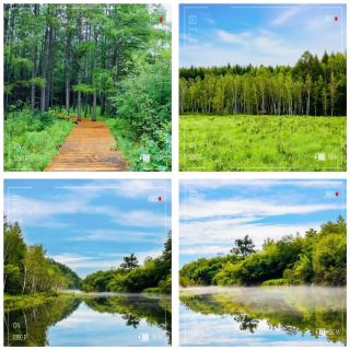 I Almost Skipped Beishan Mountain Forest Park — Now It's Permanently On My Bucket List