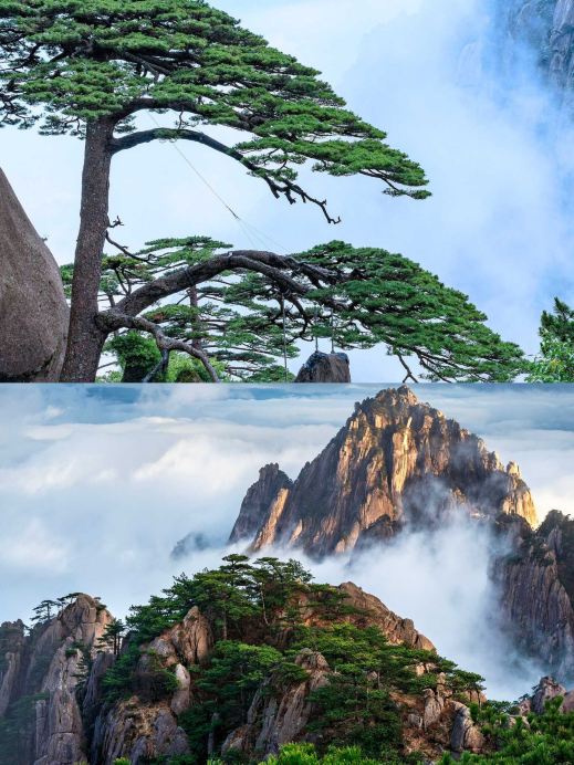 黄山に登り、ようやく徐霞客の言葉の意味を理解した。 | Trip.com 黄山