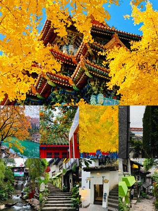 แนะนำโรงแรมเสิ่นหยาง | ใกล้รถไฟใต้ดินเดินแค่ 10 นาที ไปพระราชวังและคฤหาสน์จอมพลสะดวกสุดๆ 🏨