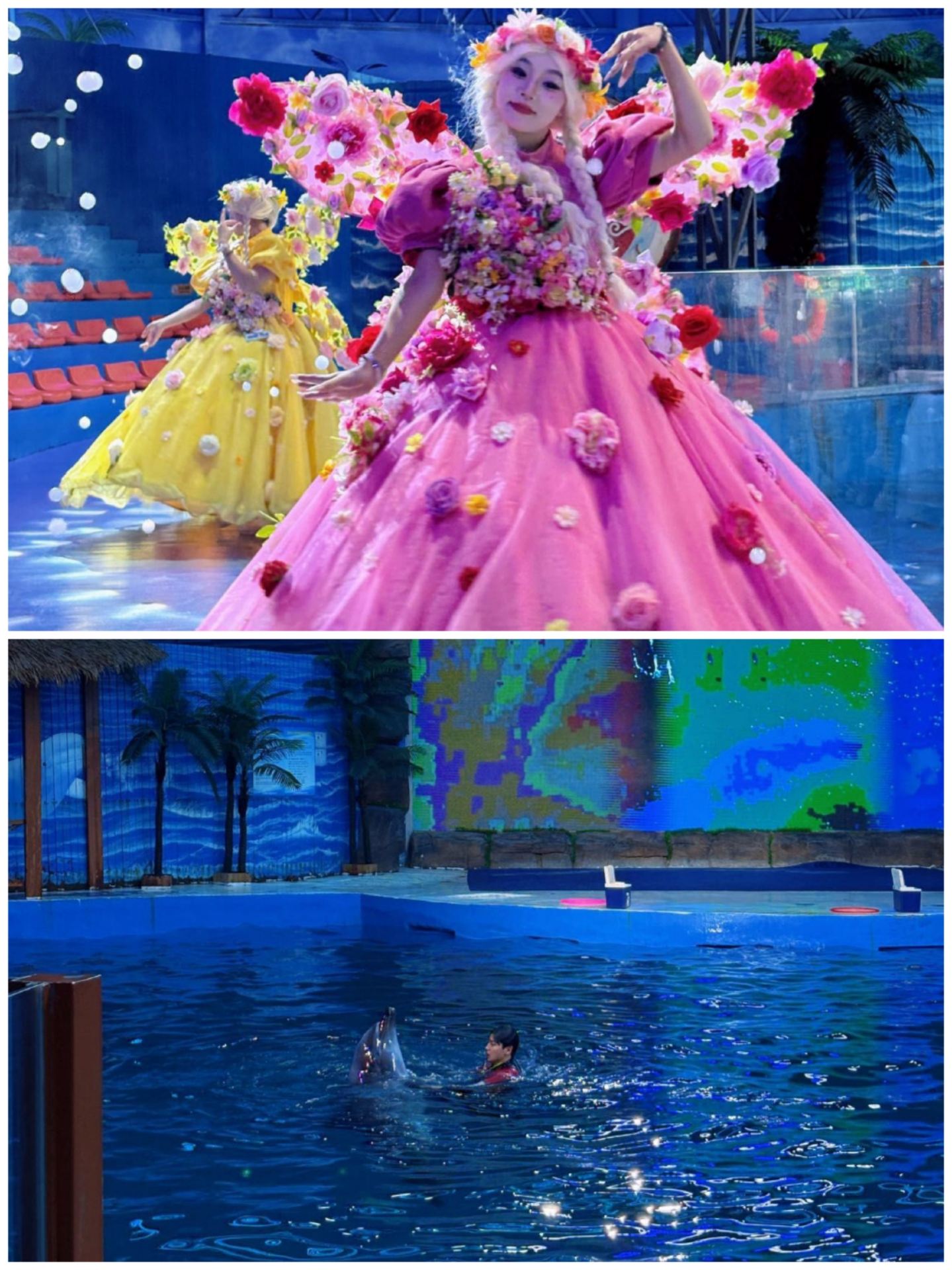 Haiqu Huadu Ocean World is back. I really don't recommend going in October because it's just too popular