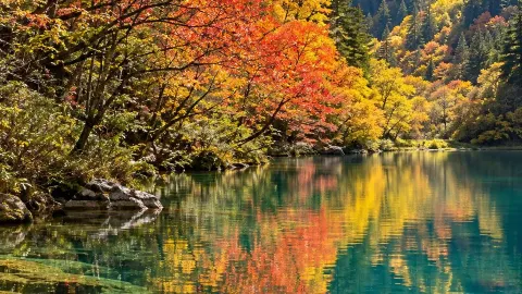 สีสันฤดูใบไม้ร่วง ณ หุบเขากวนเอ๋อกู — traveler post in กานซู