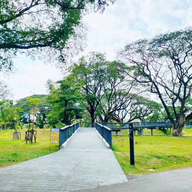 ขับรถไปสวนเบญจกิติ