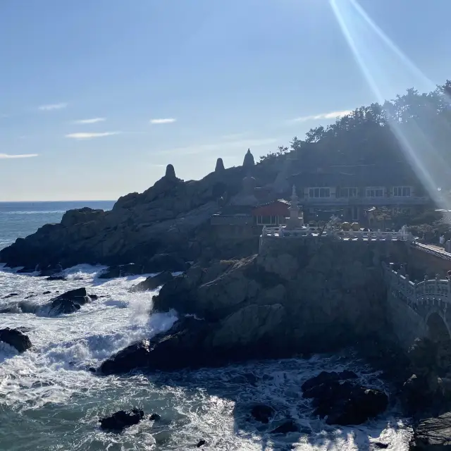 釜山-海東龍宮寺🌊 해동 용궁