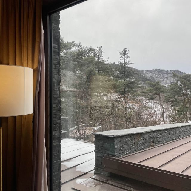 제천 포레스트 리솜 s30 숲캉스 후기 🍃