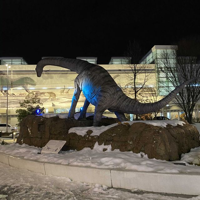 2月のJR福井駅恐竜広場
