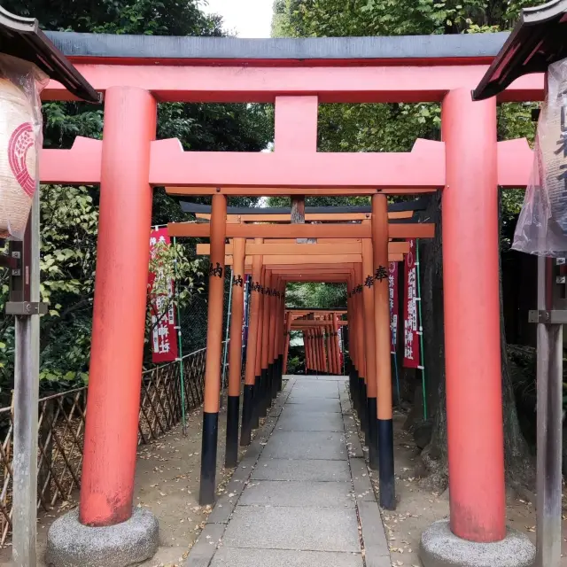 Exploring the Beauty of Ueno Park in Tokyo
