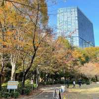 Huge park in Shinjuku 