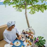 Tree Pods , Afternoon Tea on Tree 