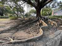 九龍城廣場旁邊嘅賈炳達道公園
