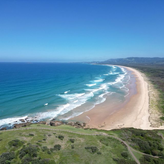 澳洲｜新南威爾士州｜Shelly Beach 來這邊與Kangaroo 巧遇吧