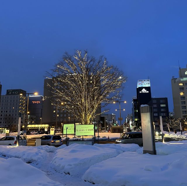 【北海道】JR帯広駅駅前広場