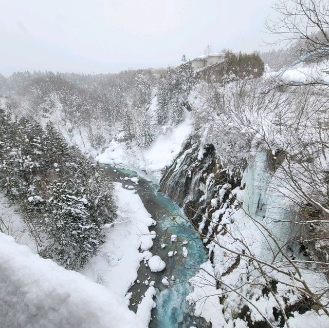일본 비에이 여행의 하이라이트 흰수염폭포 白ひげの滝