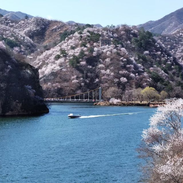 北京黃花城水長城花海