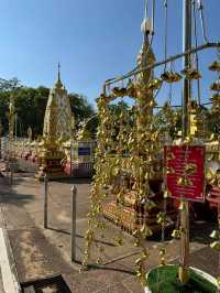 พระธาตุหนองบัว ประจำปีมะเส็ง