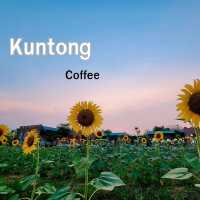 คาเฟ่ไสตล์​ต่างประเทศ