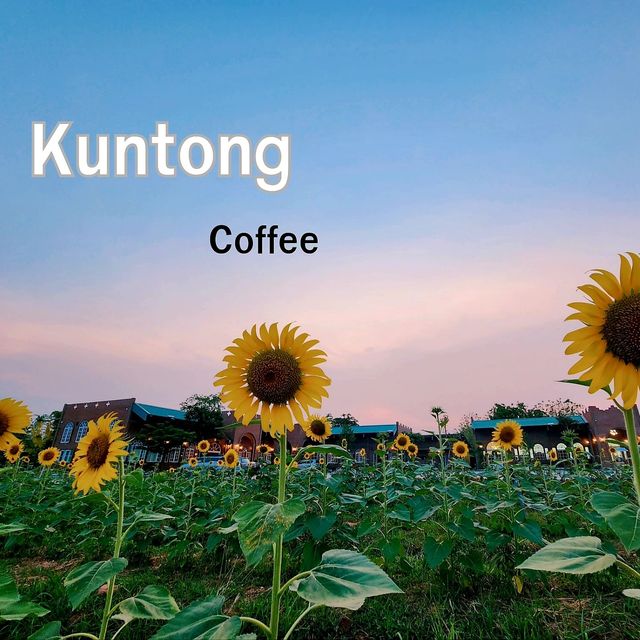 คาเฟ่ไสตล์​ต่างประเทศ