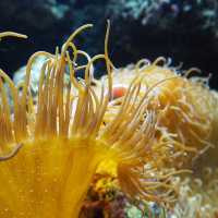 Xpark aquarium in taipei taoyuan