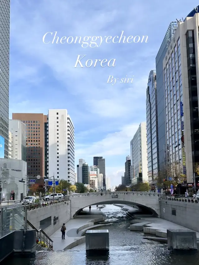 มารู้จัก Cheonggyecheon in Korea กันนะคะ