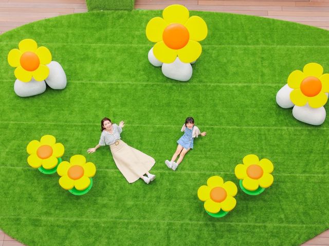 綠「惜」青衣  三大戶外互動綠化打卡位清新登場