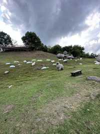 Qing Jing Farm at Taichung