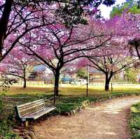 萬葉公園