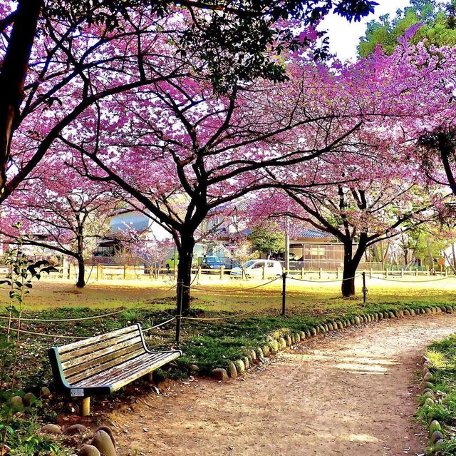 萬葉公園