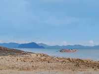 Island Escape by Burasari ที่พักสุดหรู เกาะมะพร้าว