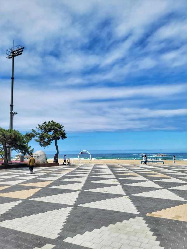날씨 좋은날엔 강릉 경포해변🏖하세요!