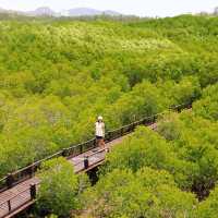 เส้นทางศึกษาธรรมชาติ วนอุทยานปราณบุรี
